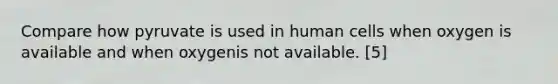 Compare how pyruvate is used in human cells when oxygen is available and when oxygenis not available. [5]