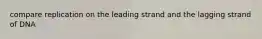 compare replication on the leading strand and the lagging strand of DNA
