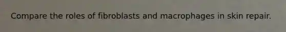 Compare the roles of fibroblasts and macrophages in skin repair.