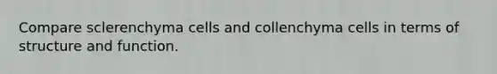 Compare sclerenchyma cells and collenchyma cells in terms of structure and function.