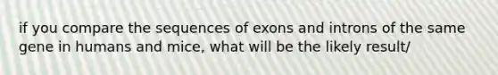 if you compare the sequences of exons and introns of the same gene in humans and mice, what will be the likely result/