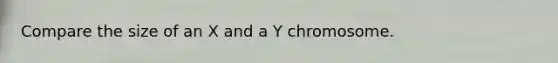 Compare the size of an X and a Y chromosome.