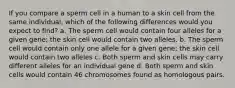 If you compare a sperm cell in a human to a skin cell from the same individual, which of the following differences would you expect to find? a. The sperm cell would contain four alleles for a given gene; the skin cell would contain two alleles. b. The sperm cell would contain only one allele for a given gene; the skin cell would contain two alleles c. Both sperm and skin cells may carry different alleles for an individual gene d. Both sperm and skin cells would contain 46 chromosomes found as homologous pairs.