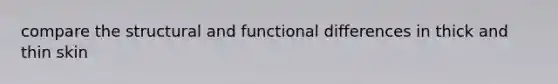 compare the structural and functional differences in thick and thin skin