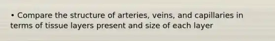 • Compare the structure of arteries, veins, and capillaries in terms of tissue layers present and size of each layer