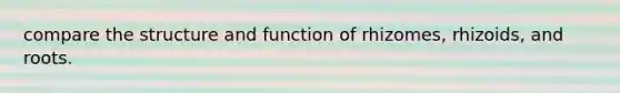 compare the structure and function of rhizomes, rhizoids, and roots.