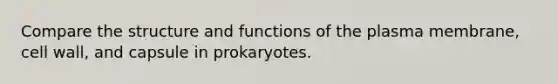 Compare the structure and functions of the plasma membrane, cell wall, and capsule in prokaryotes.