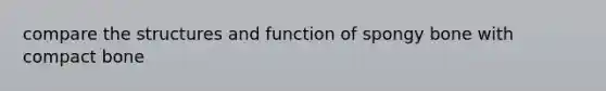 compare the structures and function of spongy bone with compact bone