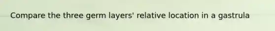 Compare the three germ layers' relative location in a gastrula