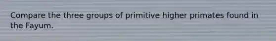 Compare the three groups of primitive higher primates found in the Fayum.