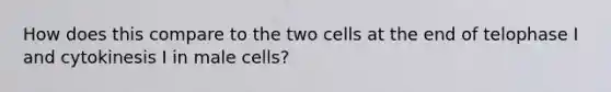 How does this compare to the two cells at the end of telophase I and cytokinesis I in male cells?