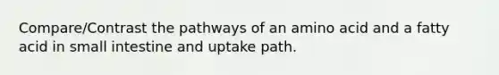 Compare/Contrast the pathways of an amino acid and a fatty acid in small intestine and uptake path.