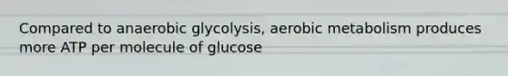 Compared to anaerobic glycolysis, aerobic metabolism produces more ATP per molecule of glucose