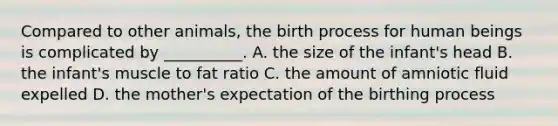 Compared to other animals, the birth process for human beings is complicated by __________. A. the size of the infant's head B. the infant's muscle to fat ratio C. the amount of amniotic fluid expelled D. the mother's expectation of the birthing process