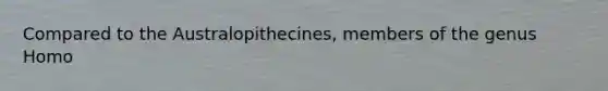 Compared to the Australopithecines, members of the genus Homo