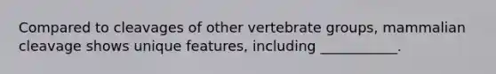 Compared to cleavages of other vertebrate groups, mammalian cleavage shows unique features, including ___________.