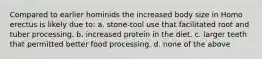 Compared to earlier hominids the increased body size in Homo erectus is likely due to: a. stone-tool use that facilitated root and tuber processing. b. increased protein in the diet. c. larger teeth that permitted better food processing. d. none of the above