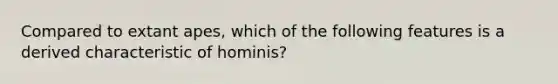 Compared to extant apes, which of the following features is a derived characteristic of hominis?