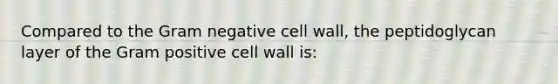 Compared to the Gram negative cell wall, the peptidoglycan layer of the Gram positive cell wall is: