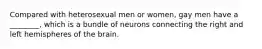 Compared with heterosexual men or women, gay men have a ________, which is a bundle of neurons connecting the right and left hemispheres of the brain.