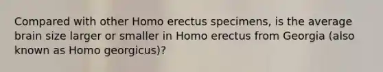 Compared with other Homo erectus specimens, is the average brain size larger or smaller in Homo erectus from Georgia (also known as Homo georgicus)?