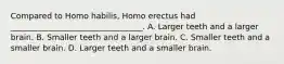 Compared to Homo habilis, Homo erectus had _________________________________. A. Larger teeth and a larger brain. B. Smaller teeth and a larger brain. C. Smaller teeth and a smaller brain. D. Larger teeth and a smaller brain.