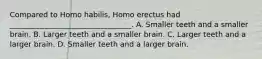 Compared to Homo habilis, Homo erectus had _________________________________. A. Smaller teeth and a smaller brain. B. Larger teeth and a smaller brain. C. Larger teeth and a larger brain. D. Smaller teeth and a larger brain.