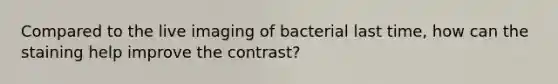 Compared to the live imaging of bacterial last time, how can the staining help improve the contrast?