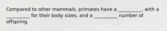 Compared to other mammals, primates have a __________, with a __________ for their body sizes, and a __________ number of offspring.