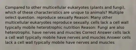 Compared to other multicellular eukaryotes (plants and fungi), which of these characteristics are unique to animals? Multiple select question. reproduce sexually Reason: Many other multicellular eukaryotes reproduce sexually. cells lack a cell wall typically mobile heterotrophic nutrition Reason: Fungi are also heterotrophs. have nerves and muscles Correct Answer cells lack a cell wall typically mobile have nerves and muscles Answer cells lack a cell wall typically mobile have nerves and muscles