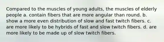 Compared to the muscles of young adults, the muscles of elderly people​ a. ​contain fibers that are more angular than round. b. ​show a more even distribution of slow and fast twitch fibers. c. ​are more likely to be hybrids of fast and slow twitch fibers. d. ​are more likely to be made up of slow twitch fibers.