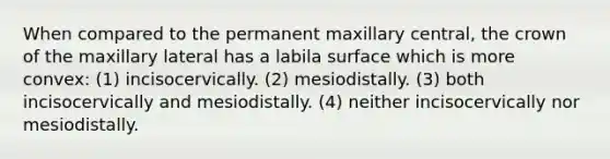 When compared to the permanent maxillary central, the crown of the maxillary lateral has a labila surface which is more convex: (1) incisocervically. (2) mesiodistally. (3) both incisocervically and mesiodistally. (4) neither incisocervically nor mesiodistally.