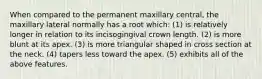 When compared to the permanent maxillary central, the maxillary lateral normally has a root which: (1) is relatively longer in relation to its incisogingival crown length. (2) is more blunt at its apex. (3) is more triangular shaped in cross section at the neck. (4) tapers less toward the apex. (5) exhibits all of the above features.