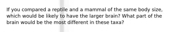 If you compared a reptile and a mammal of the same body size, which would be likely to have the larger brain? What part of the brain would be the most different in these taxa?