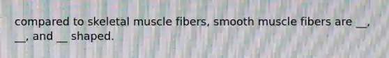 compared to skeletal muscle fibers, smooth muscle fibers are __, __, and __ shaped.