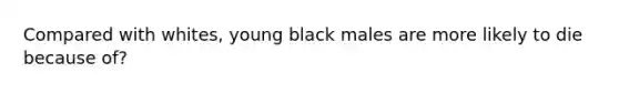 Compared with whites, young black males are more likely to die because of?