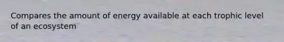 Compares the amount of energy available at each trophic level of an ecosystem