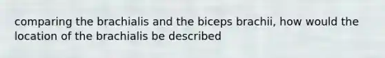 comparing the brachialis and the biceps brachii, how would the location of the brachialis be described