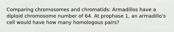 Comparing chromosomes and chromatids: Armadillos have a diploid chromosome number of 64. At prophase 1, an armadillo's cell would have how many homologous pairs?