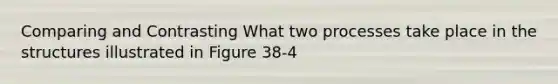 Comparing and Contrasting What two processes take place in the structures illustrated in Figure 38-4