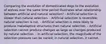 Comparing the evolution of domesticated dogs to the evolution of wolves over the same time period illustrates what relationship between artificial and natural selection? - Artificial selection is slower than natural selection. - Artificial selection is reversible; natural selection is not. - Artificial selection is more likely to produce maladaptive structures than natural selection. - Artificial selection cannot produce changes as large as changes produced by natural selection. - In artificial selection, the magnitude of the selection pressure can be varied; in natural selection, it cannot.