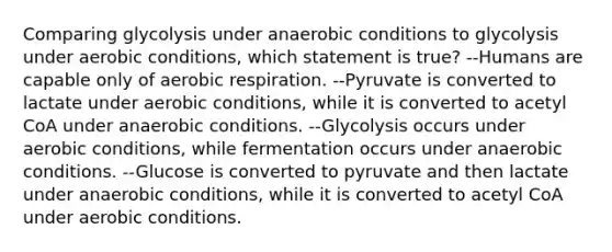 Comparing glycolysis under anaerobic conditions to glycolysis under aerobic conditions, which statement is true? --Humans are capable only of aerobic respiration. --Pyruvate is converted to lactate under aerobic conditions, while it is converted to acetyl CoA under anaerobic conditions. --Glycolysis occurs under aerobic conditions, while fermentation occurs under anaerobic conditions. --Glucose is converted to pyruvate and then lactate under anaerobic conditions, while it is converted to acetyl CoA under aerobic conditions.