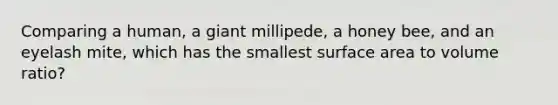 Comparing a human, a giant millipede, a honey bee, and an eyelash mite, which has the smallest surface area to volume ratio?