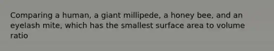 Comparing a human, a giant millipede, a honey bee, and an eyelash mite, which has the smallest surface area to volume ratio