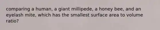 comparing a human, a giant millipede, a honey bee, and an eyelash mite, which has the smallest surface area to volume ratio?