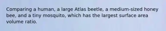 Comparing a human, a large Atlas beetle, a medium-sized honey bee, and a tiny mosquito, which has the largest surface area volume ratio.