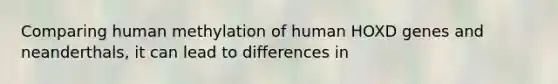 Comparing human methylation of human HOXD genes and neanderthals, it can lead to differences in