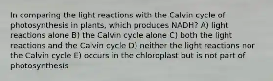 In comparing the light reactions with the Calvin cycle of photosynthesis in plants, which produces NADH? A) light reactions alone B) the Calvin cycle alone C) both the light reactions and the Calvin cycle D) neither the light reactions nor the Calvin cycle E) occurs in the chloroplast but is not part of photosynthesis