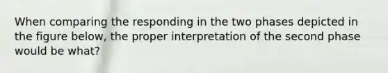 When comparing the responding in the two phases depicted in the figure below, the proper interpretation of the second phase would be what?