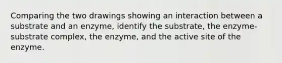 Comparing the two drawings showing an interaction between a substrate and an enzyme, identify the substrate, the enzyme-substrate complex, the enzyme, and the active site of the enzyme.